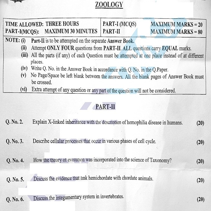 Phd dissertation picture
